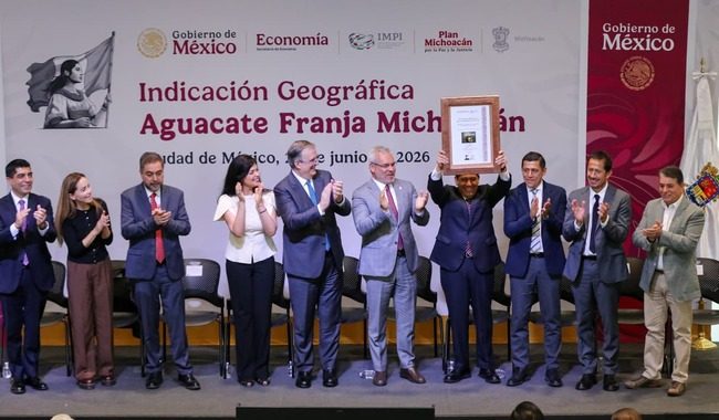 Aguacate michoacano obtiene Indicación Geográfica por IMPI