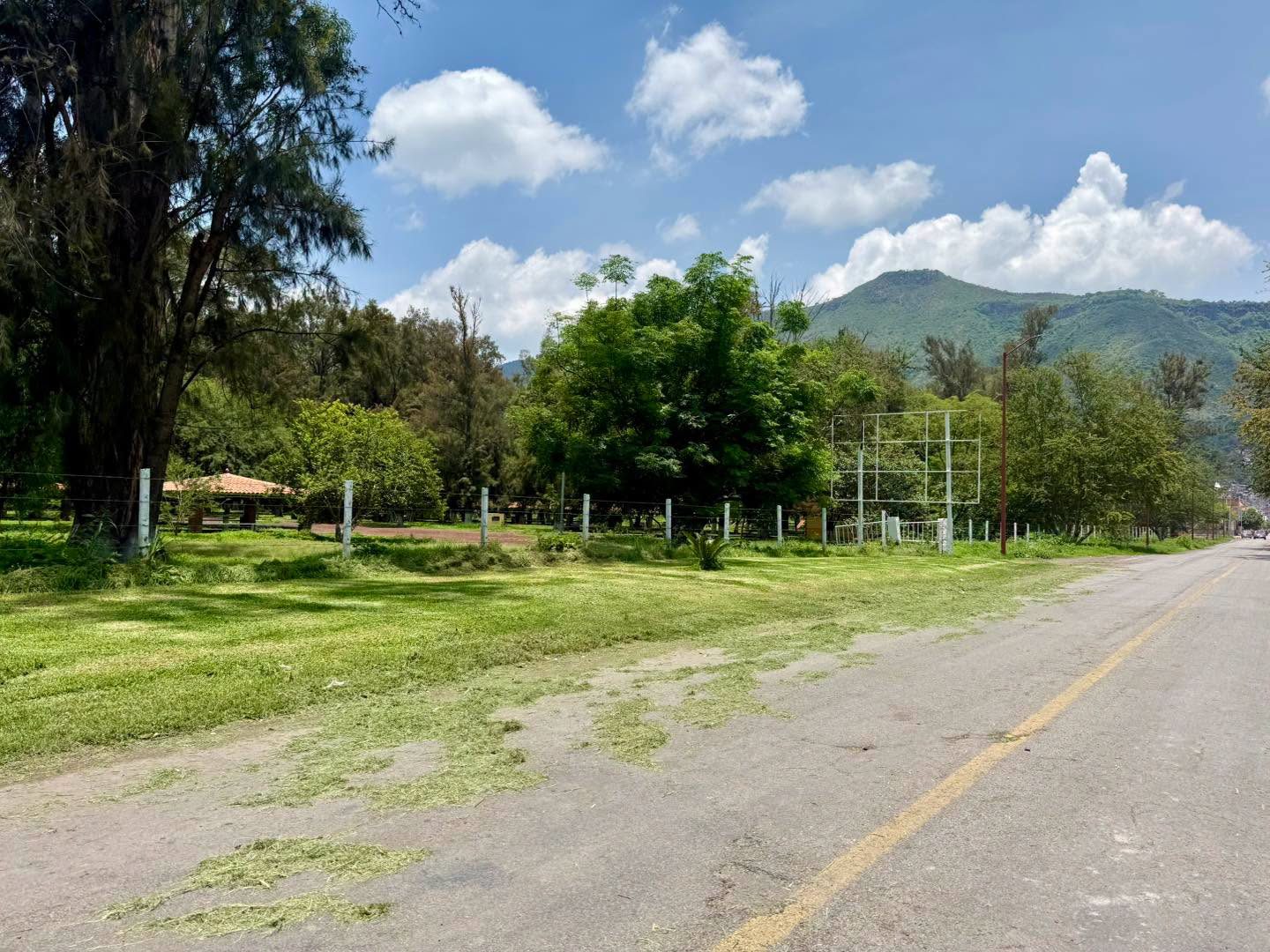 MANTENIMIENTO PERMANENTE A LA ALAMADE DE PAJACUARAN